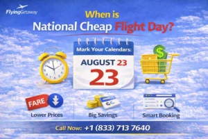 National Cheap Flight Day