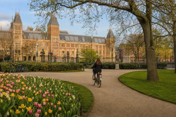 Rijksmuseum or Van Gogh Museum experience in Amsterdam