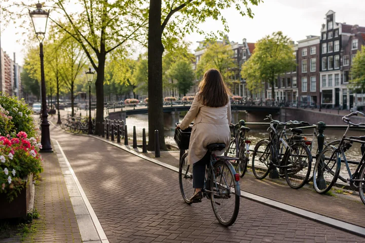 Plantage and the Eastern City experience in Amsterdam