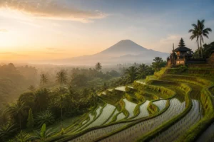 Bali rice terraces, tropical palms and temple landscape at sunrise