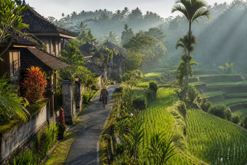 Ubud & Central Bali neighbourhood atmosphere in Bali
