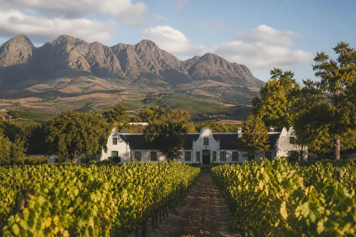 Winelands Day experience in Cape Town