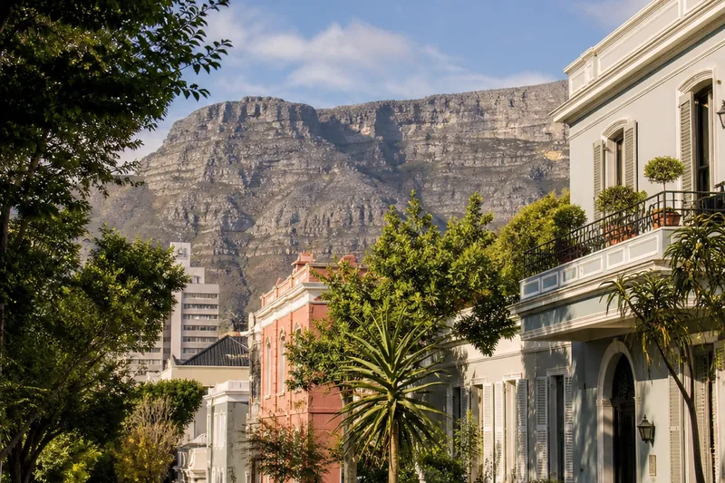 City Bowl & Gardens neighbourhood atmosphere in Cape Town