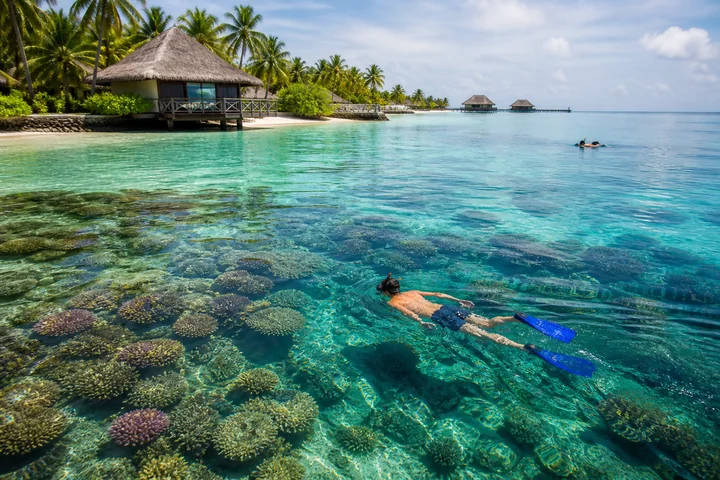 House Reef Snorkelling experience in Maldives