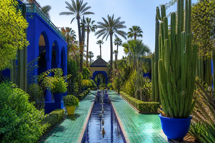 Majorelle or Menara Garden experience in Marrakech