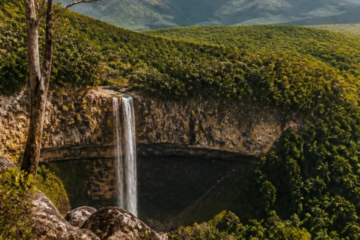 Black River Gorges experience in Mauritius