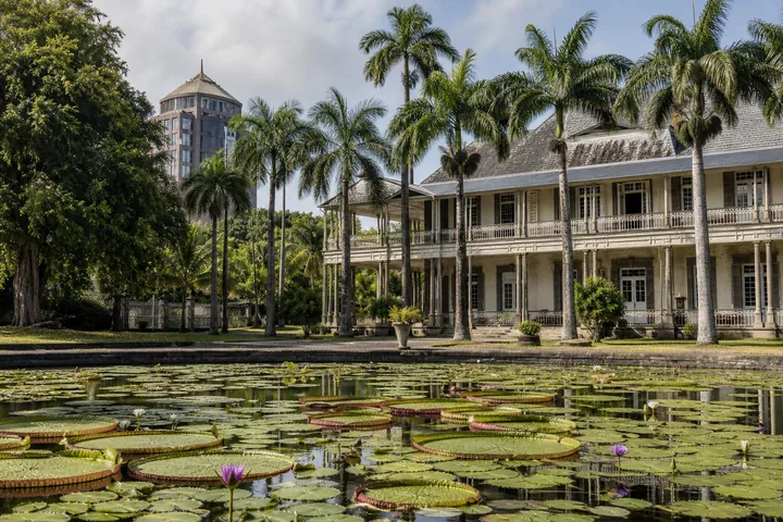 Port Louis and Pamplemousses experience in Mauritius