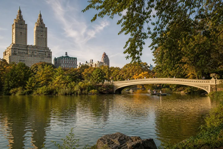 Central Park and Museum Mile experience in New York