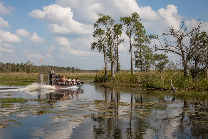 Central Florida Nature experience in Orlando