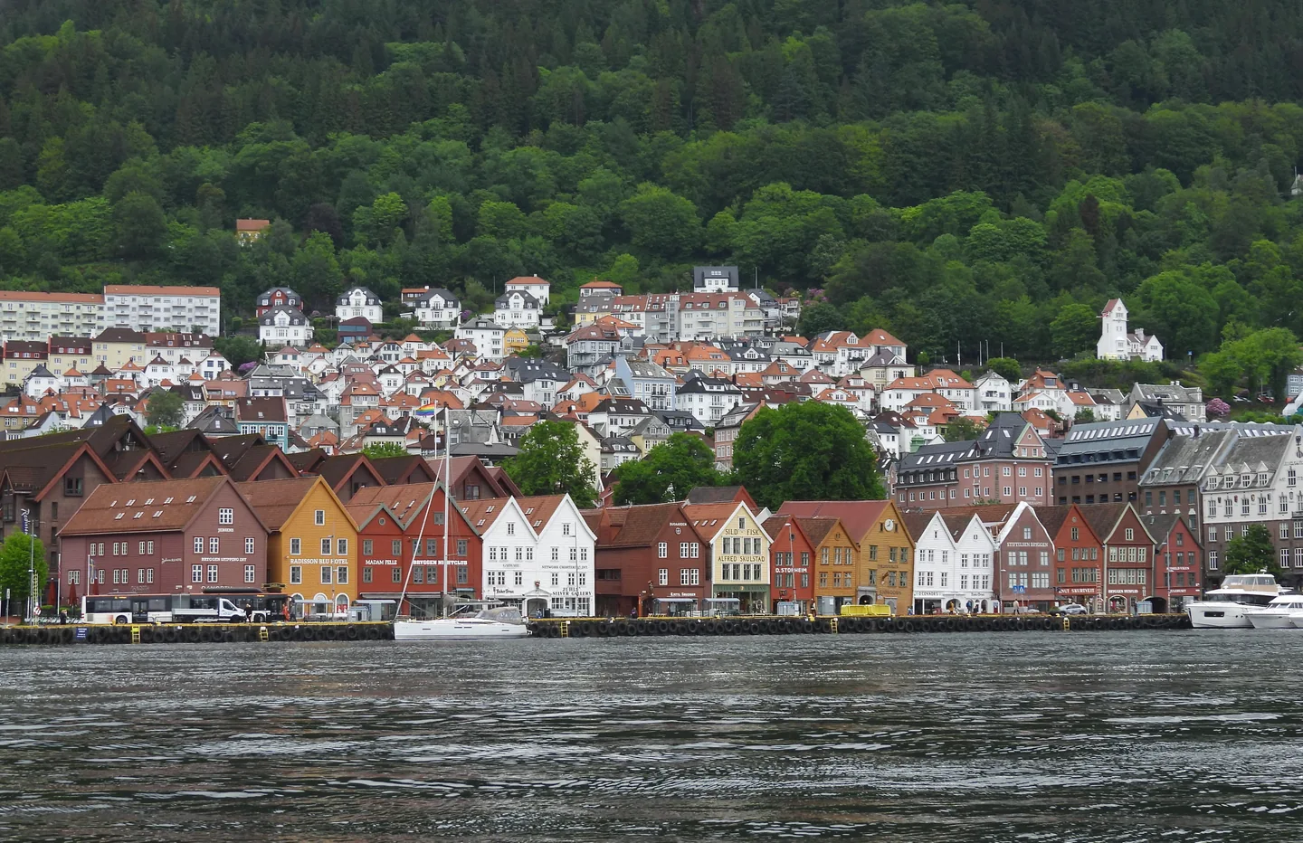 Colourful Bryggen waterfront buildings and hillside in Bergen, Norway
